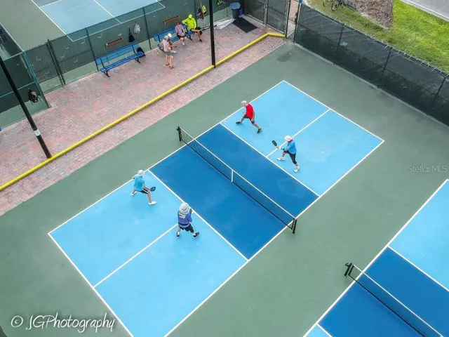 Pickle ball