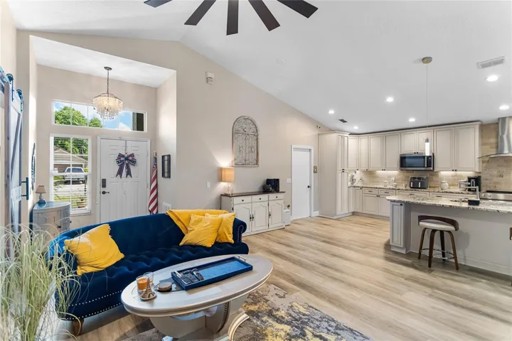 Living room kitchen