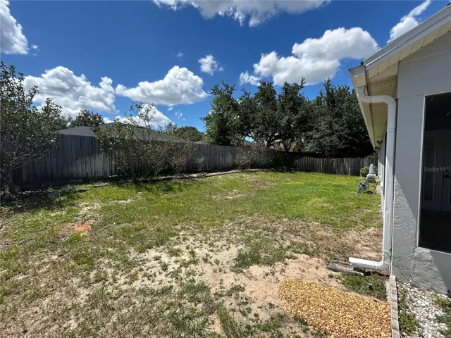 Backyard