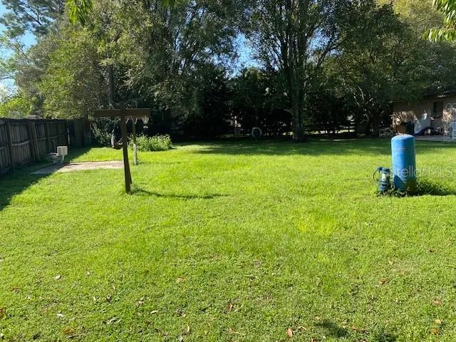 Back yard