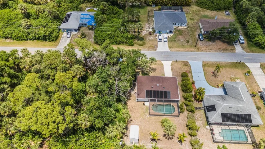 Great backyard complete with 3 sheds and some pretty cool palm trees!