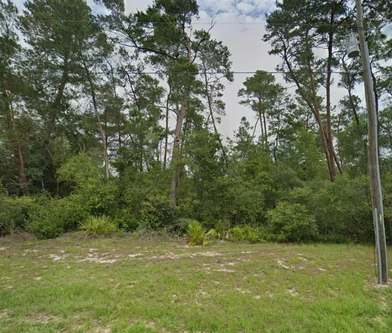 Property Street View