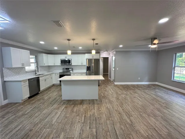 Kitchen and Great Room