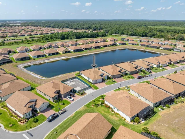 Neighborhood drone view