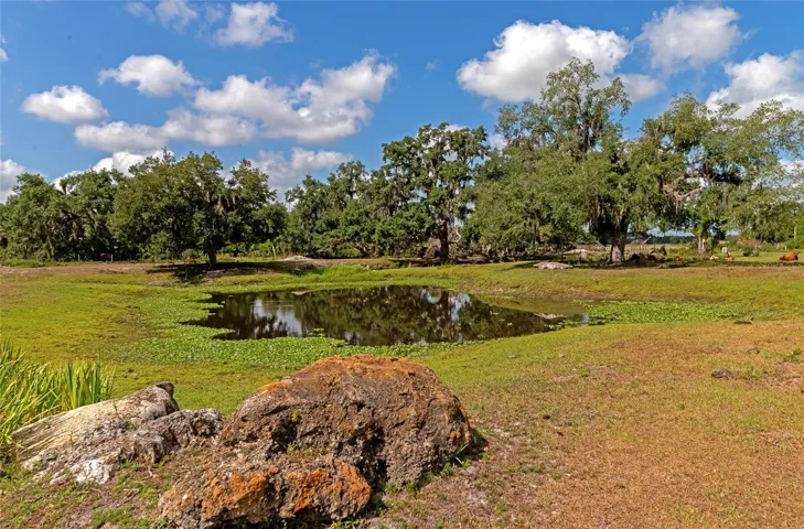 Rear pond