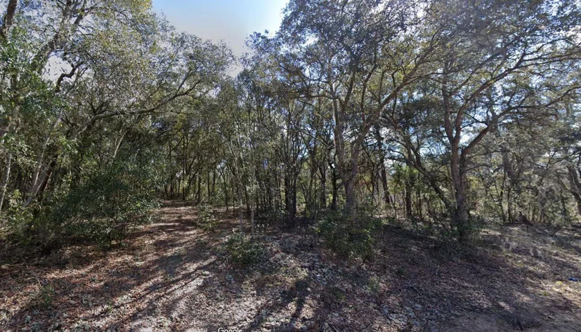 Clearing Property would be a breeze. Mostly under 6 inches Brush with a few Large Shade Trees.