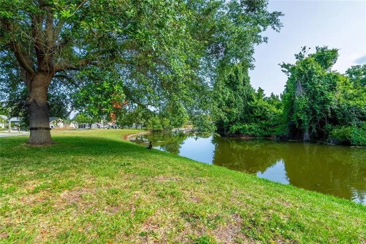 Separate Waterfront Parcel Included