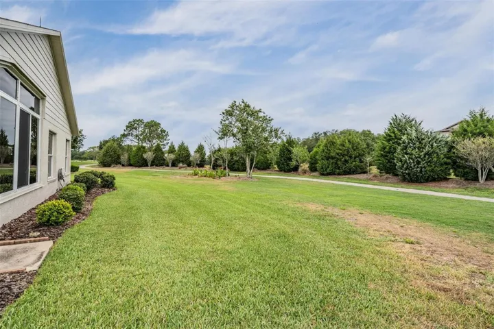 Golf cart path view