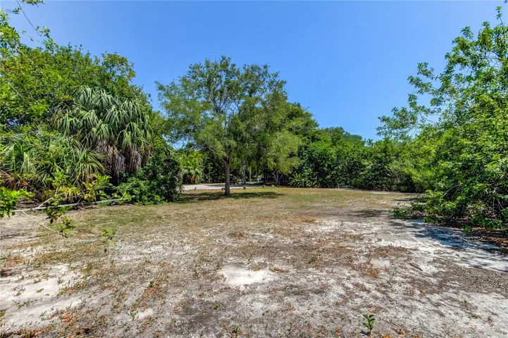 View from the back of the lot to the street