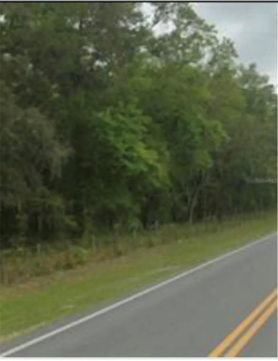 Ne 222nd Ln, Fort Mc Coy, Florida 32134, ,Land,For Sale,222ND,O6204100