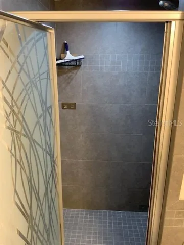 Main bedroom step in Shower
