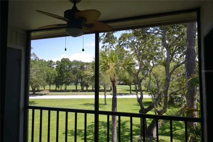 View from Living room