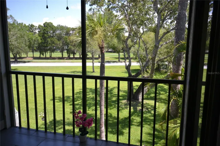 Lots of lawn and trees to view out the living room