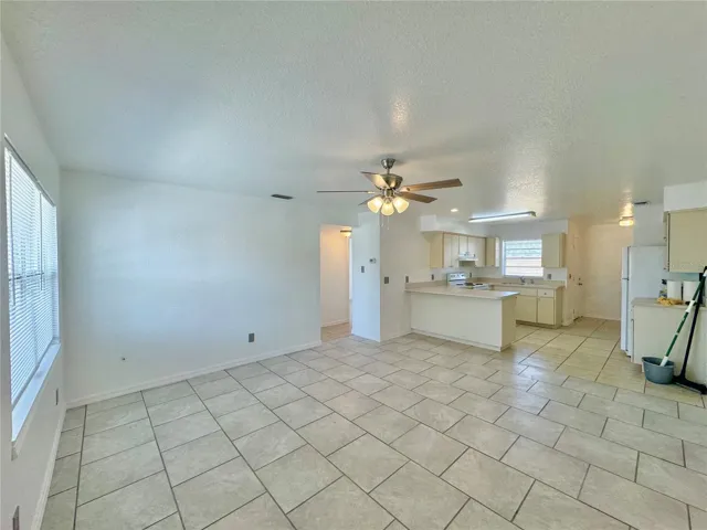 Living room into Kitchen