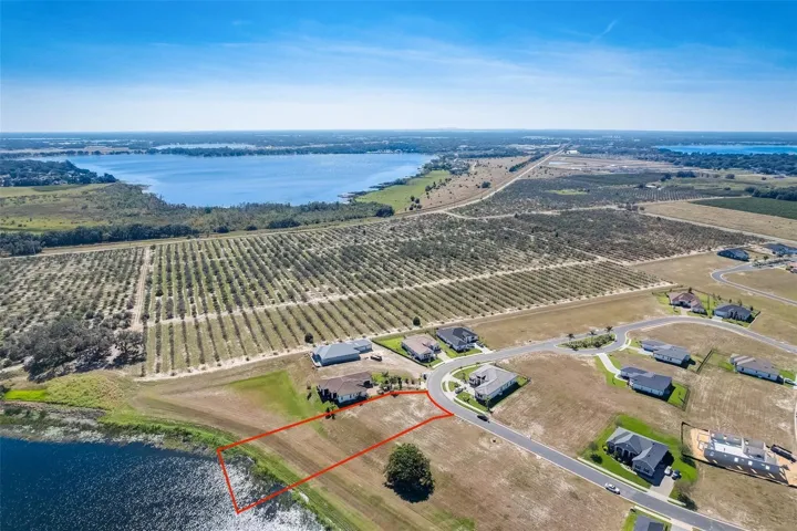 orange groves