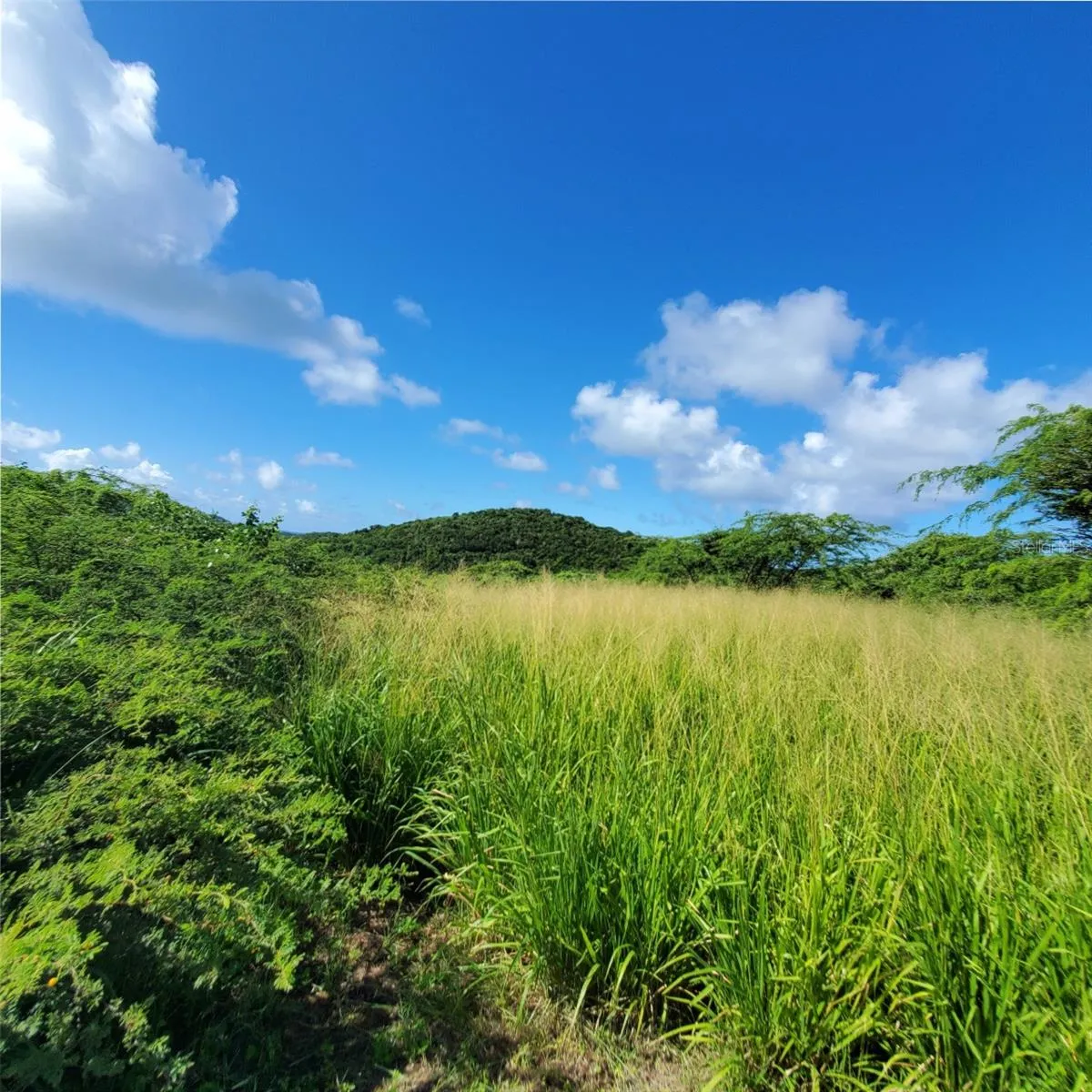 Hills of Brava