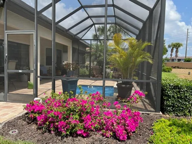 Colorful bouganvilla