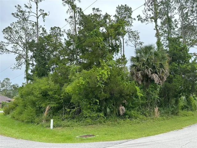 Oversized Corner Lot (.36 Acre)
