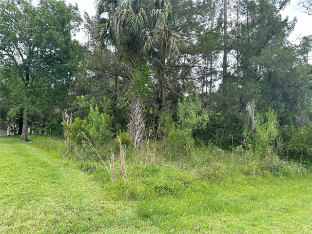 Oversized Corner Lot (16,005 Square Feet)
