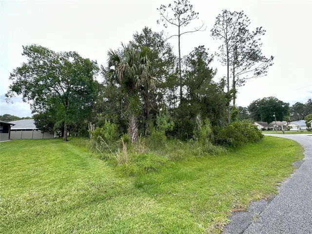 Build Your Dream Home in a Beautiful Neighborhood!