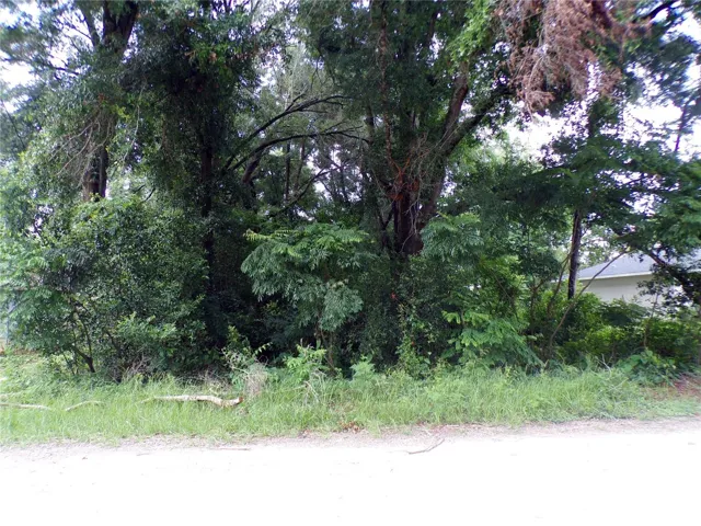 Wooded Lot