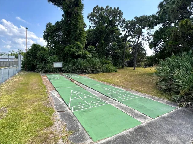 Shuffleboard