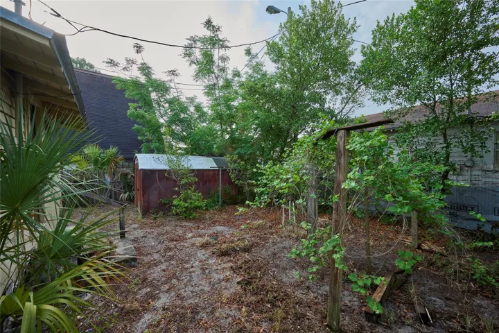 Fruit trees and grapevine in the backyard