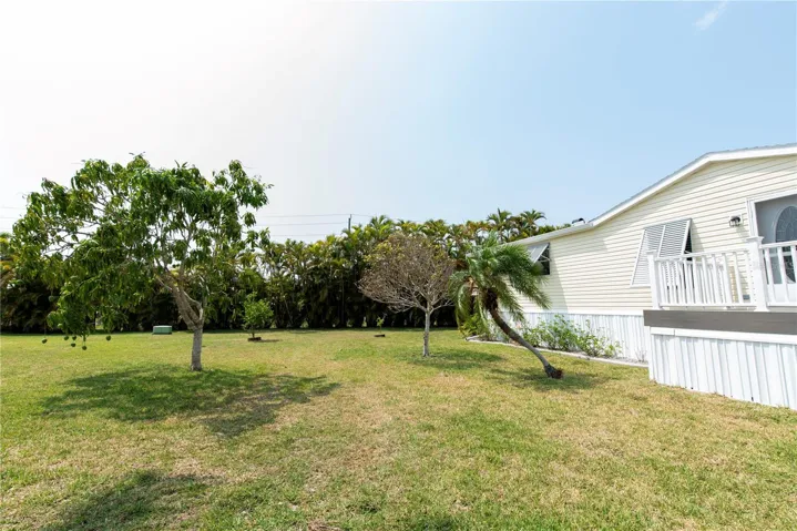 Frontyard