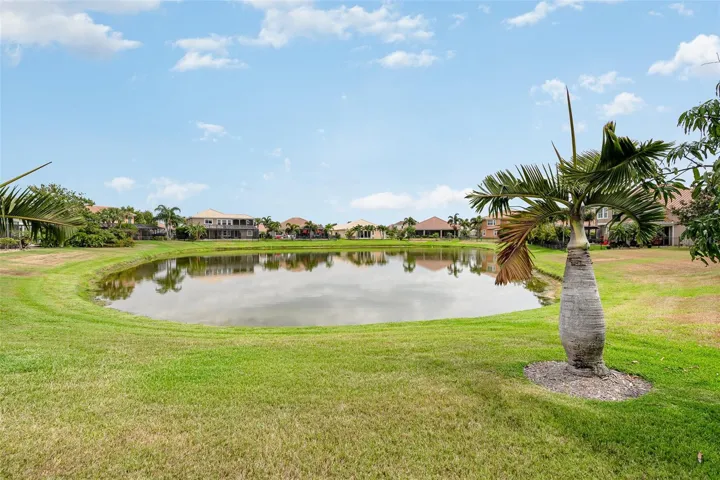 View of pond