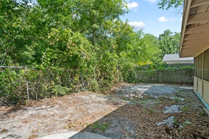 Backyard