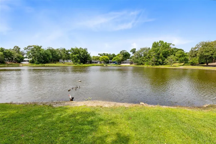 Lakefront Property