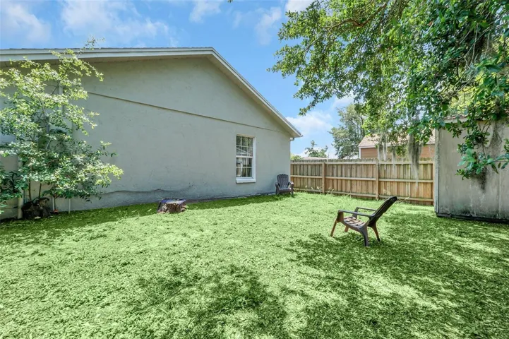 Back Yard