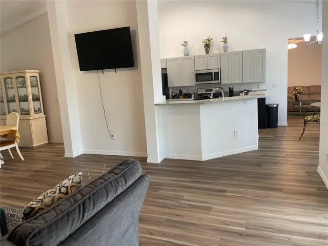 Living room and kitchen