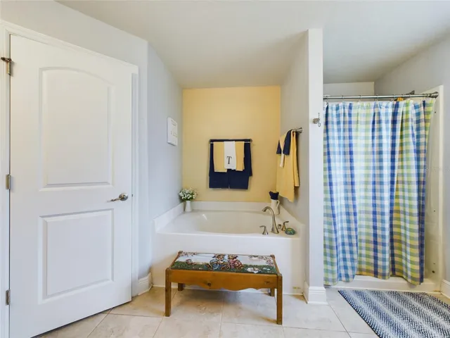 Garden Tub and Walk in Shower w/ water closet