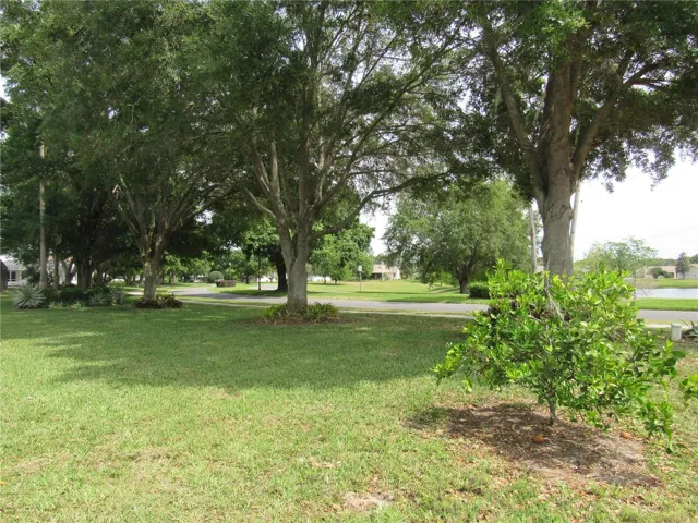 Rear yard and lake view