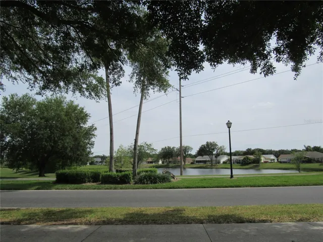 Lake view