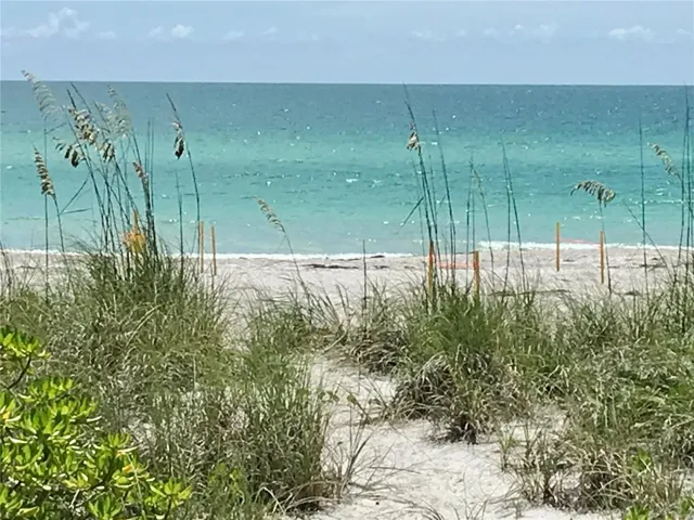 Trail to the Gulf