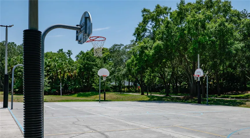 Lansbrook Commons-Basketball