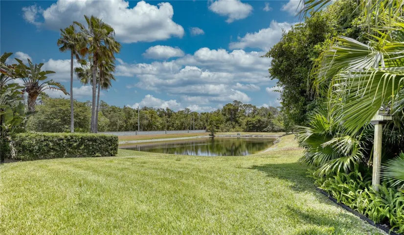 Pond View