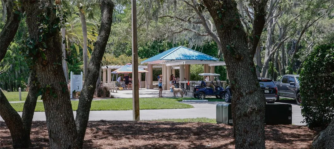 Golf Cart and Pet Friendly