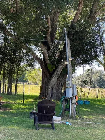 Electric Pole