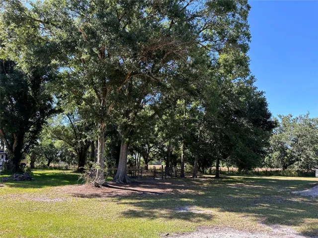 Beautiful Oak trees for shading animals