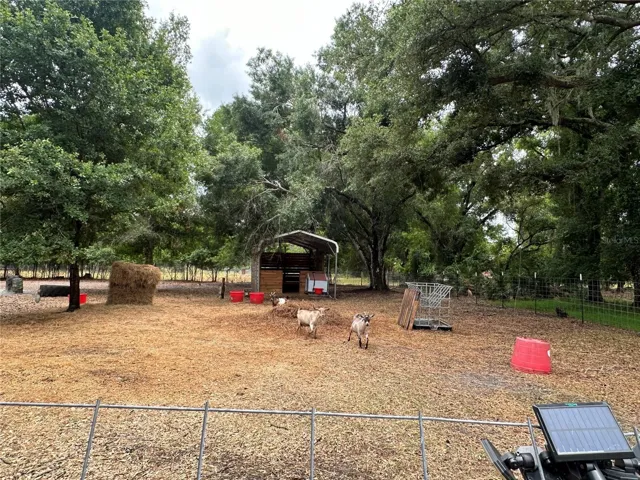 Goat pens