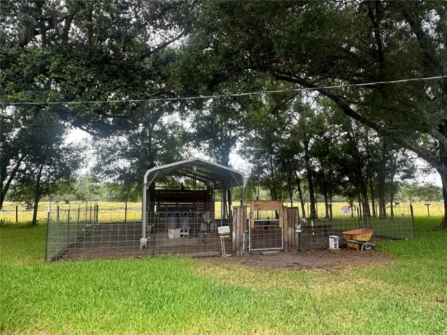 Chicken Coop