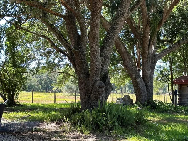 Backs up to a large 80 acre pastur