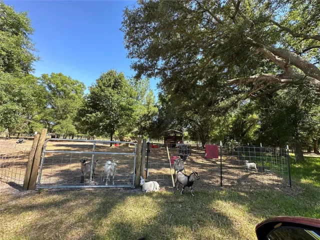 Goat Pens