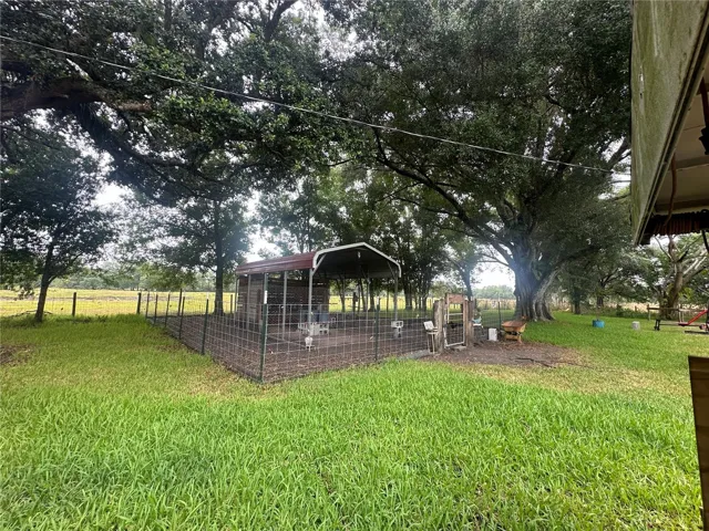 Chicken Coop
