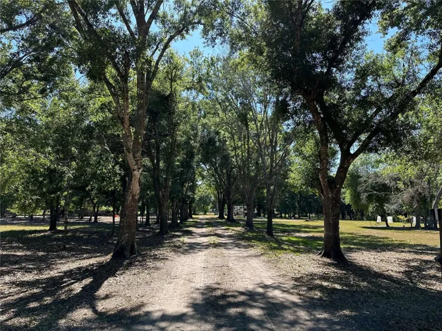 Driveway