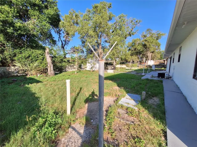 Back yard