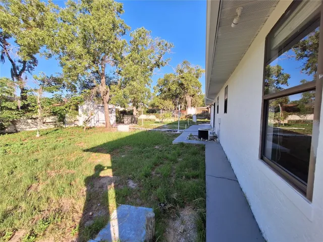 Back yard